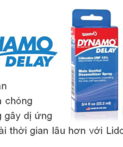 Dynamo Delay 1